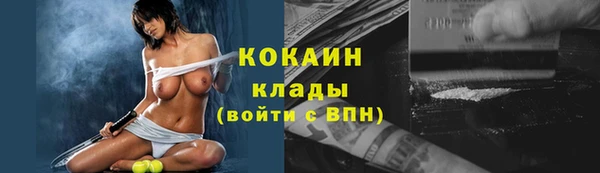 дживик Каменск-Шахтинский