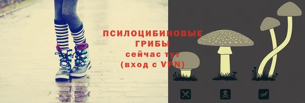 метамфетамин Каменногорск