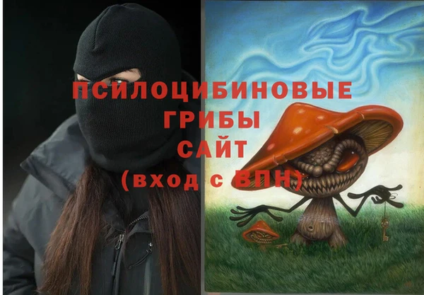 метамфетамин Каменногорск