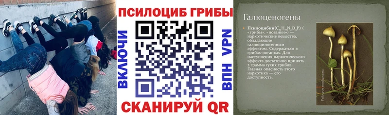 Псилоцибиновые грибы MAGIC MUSHROOMS  Купить закладки  Кировск 