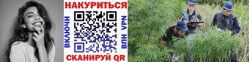 Бошки Шишки гибрид Кировск